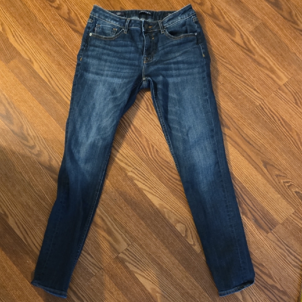 Vigoss Blue Skinny Jeans with Classic Denim Style 29x31